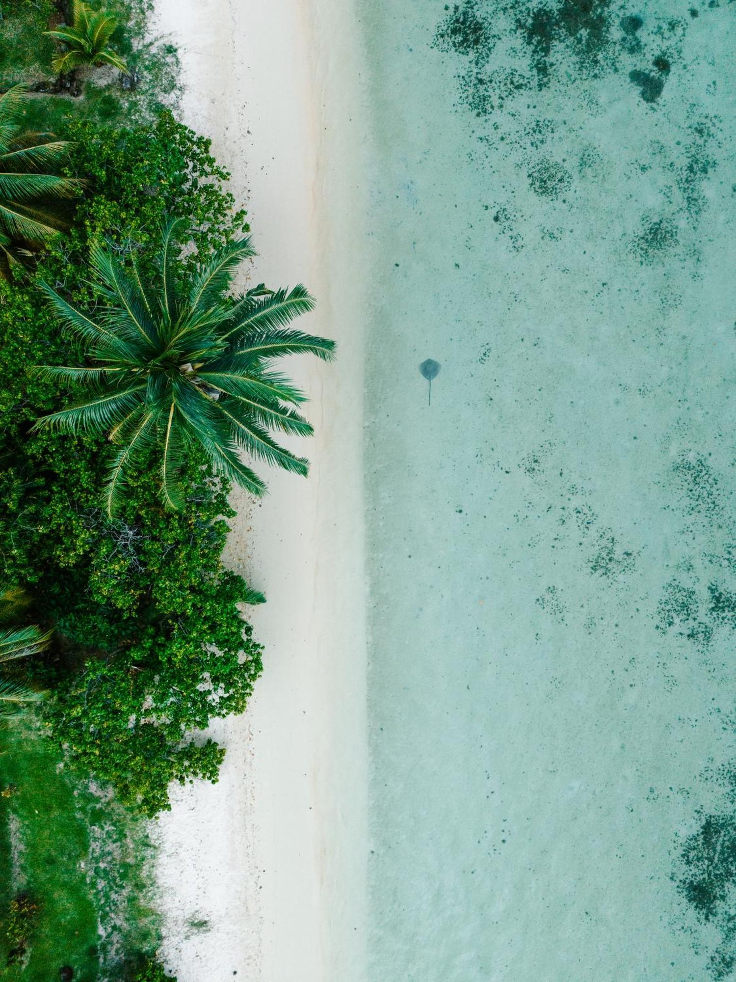 Niu Beach Hotel Moorea Exterior photo